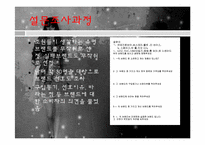 [의류학] 의류브랜드의 성공, 그리고 실패-3