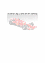 스포츠카레이싱 시장의 여가제약 관리방안-1