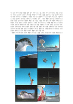 [소비자행동] 광고 분석을 통한 소비자 행동 결정-6
