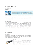 [글로벌마케팅] KICA `B2Y 헤어 아이론` 마케팅 전략-2