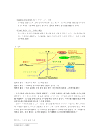 혁신적 서비스 개발의 성공사례와 실패사례-4