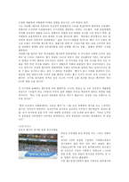 스포츠마케팅(삼성전자, 첼시)-14