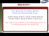 BSkyB(British Sky Broadcasting) 분석-2