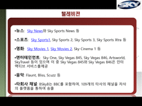 BSkyB(British Sky Broadcasting) 분석-9