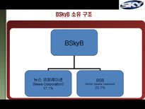 BSkyB(British Sky Broadcasting) 분석-10