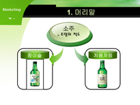 [마케팅] 주류산업의 마케팅 전략-2
