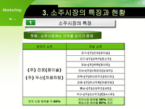 [마케팅] 주류산업의 마케팅 전략-10