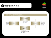 [문화콘텐츠 유통론] 애플 앱스토어와 한국형 앱스토어의 비교 분석-6