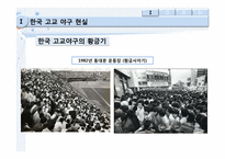 [스포츠이벤트기획] 고교야구 살리기(한일 고교 왕중왕전)-5