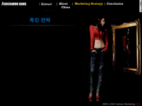 [국제패션마케팅] 버커루 진 Buckaroo Jeans 분석 및 중국 진출 마케팅 전략-17