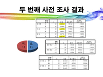 [소비자행동] 광고에 대한 소비자 정서반응이 상표태도에 미치는 설득효과-8