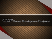 [인적자원관리] CDP(Career Development Program)-1