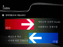 [인적자원관리] CDP(Career Development Program)-3