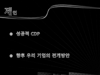 [인적자원관리] CDP(Career Development Program)-12