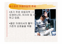 [레저학] 레저산업으로서의 스포츠 카레이싱-10