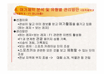 [레저학] 레저산업으로서의 스포츠 카레이싱-17