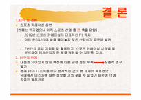 [레저학] 레저산업으로서의 스포츠 카레이싱-19