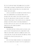 [국제패션마케팅] 버커루 진 Buckaroo Jeans 분석 및 중국 진출 마케팅 전략-13