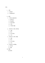 [소비자행동론] LG 트롬 세탁기와 삼성 하우젠 세탁기의 소비자 행동 분석을 통한 마케팅전략-2