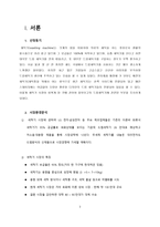 [소비자행동론] LG 트롬 세탁기와 삼성 하우젠 세탁기의 소비자 행동 분석을 통한 마케팅전략-3