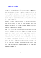 [소비자행동론] LG 트롬 세탁기와 삼성 하우젠 세탁기의 소비자 행동 분석을 통한 마케팅전략-19