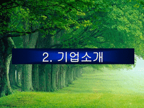 고능률 조직구조로 본 유한킴벌리 성공 사례-4