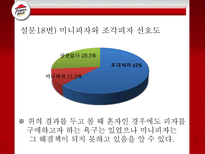 [마케팅조사] 피자헛 조각 피자, Take Out 성공 가능성-19