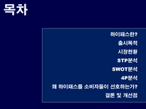 [소비자행동론] 하이패스 마케팅분석-2
