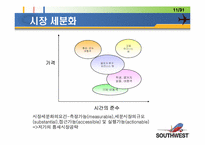 [마케팅] 사우스웨스트 STP 마케팅 전략-12