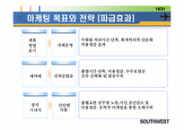 [마케팅] 사우스웨스트 STP 마케팅 전략-20