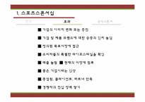 공식 스폰서와 앰부시 마케팅-4