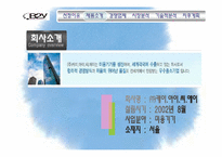 [글로벌마케팅] KICA `B2Y 헤어 아이론` 마케팅 전략-5