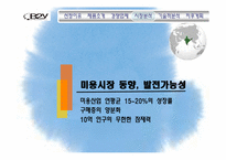 [글로벌마케팅] KICA `B2Y 헤어 아이론` 마케팅 전략-13