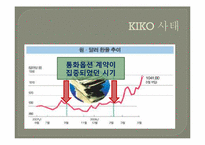 키코(KIKO) 사태 레포트-10
