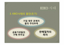 키코(KIKO) 사태 레포트-16