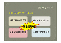 키코(KIKO) 사태 레포트-17