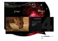 [글로벌마케팅] 삼성 파브 PAVV LED TV-14