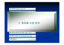 화장품(비오템)의 마케팅전략-6