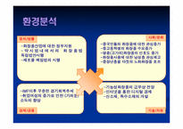 화장품(비오템)의 마케팅전략-7