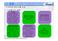 [해외 직접 투자 전략] LG전자 휘센(WHISEN)에어컨 해외진출 사례 및 마케팅 전략-14
