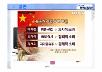 [해외 직접 투자 전략] LG전자 휘센(WHISEN)에어컨 해외진출 사례 및 마케팅 전략-20