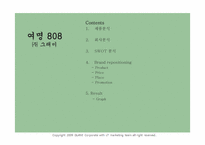 [마케팅] ㈜ 그래미 여명 808 마케팅-2