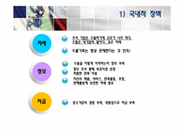 [중소기업론] 10장 글로벌 마케팅 전략-9