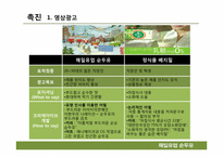 병 두유시장의 마케팅 전략분석 -매일유업 순(純)두유를 중심으로-16