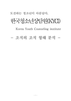 한국청소년상담원(KYCI) 조직 형태 분석-1