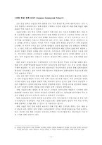 [유럽정치] 유럽단일시장의 결성-3