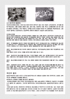 일본군 성노예 레포트-4