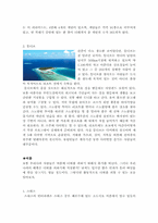 사계절 테마 여행-3