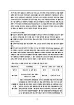 [국제기구론] 2세대 PKO-13