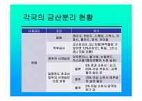 금산분리논쟁 레포트-3